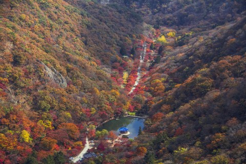 한국대표 가을여행지로 선정된 내장산 국립공원(사진=클룩)
