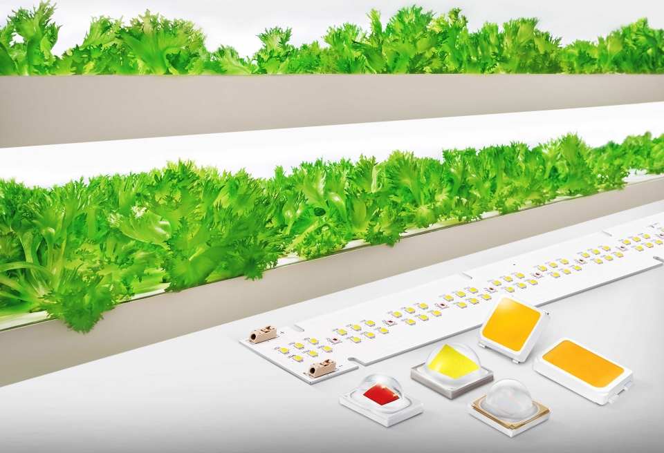 삼성전자 식물 생장용 LED 패키지와 모듈 (사진=삼성전자)