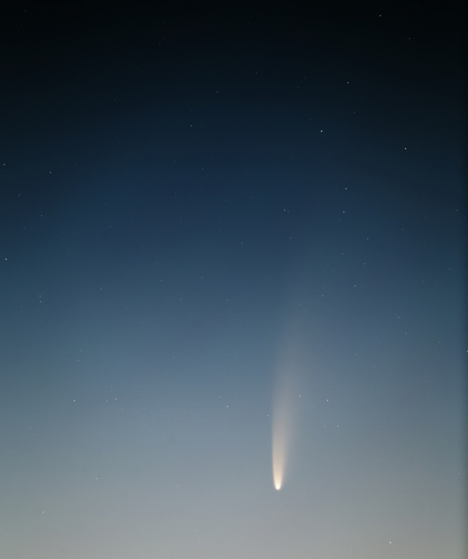 ▲7월 8일 4시 24분 강원도 태백시에서 한국천문연구원이 촬영한 니오와이즈 혜성