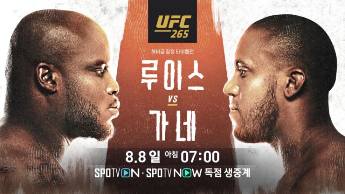 ▲ UFC 265 루이스 vs 가네 (제공: 커넥티비티)