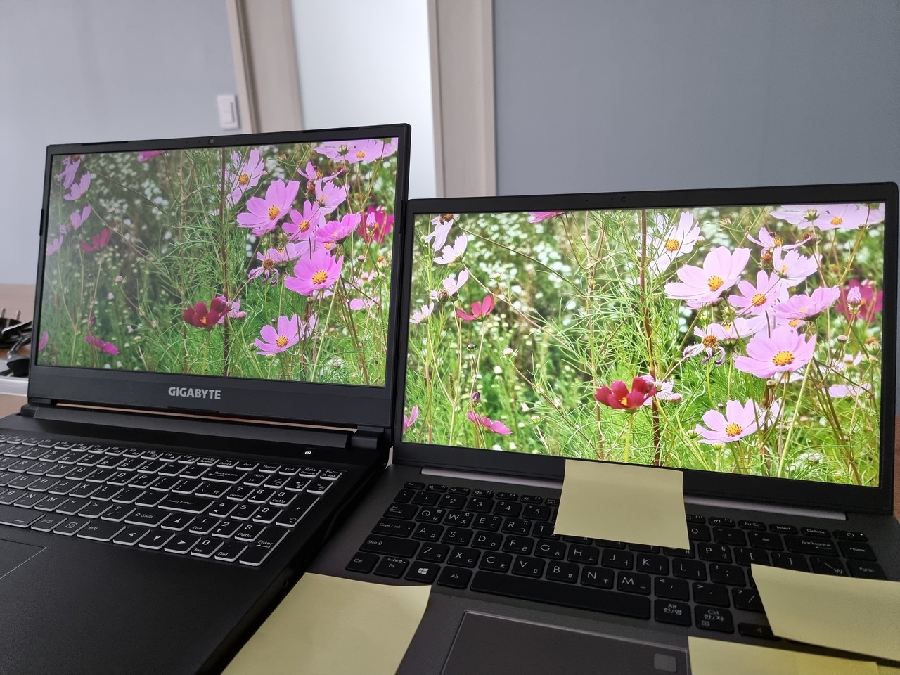 ▲ 좌 기가바이트 A5 X1 R9. 우 색재현율이 낮은 노트북이다. 같은 사진인데도 꽃의 색이 다르다. 기가바이트 A5 X1 R9가 색상을 제대로 구현해낸다.