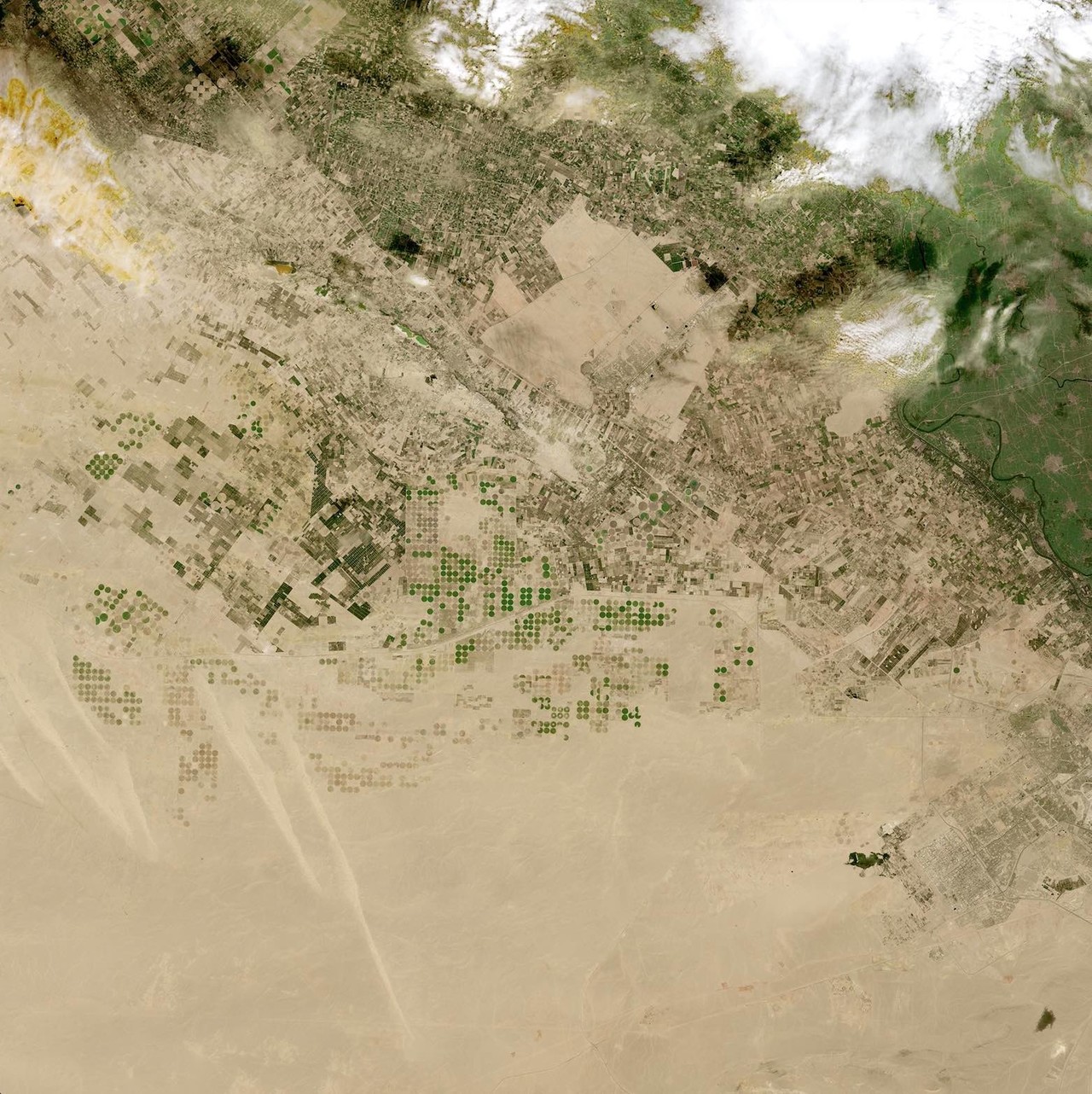▲ 이집트 카이로에서 북서쪽으로 80km 떨어진 사닷 시 근처 관개된 농지 위성 사진 (출처=NASA IMPACT)