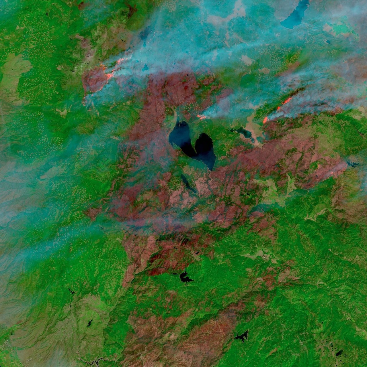 ▲ 2021년 8월 17일 딕시 산불 현장 위성사진. 살아있는 산불이 알마노어 호수 북쪽에 보인다 (출처=NASA IMPACT)